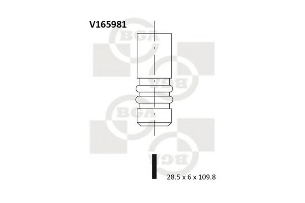 V165981 BGA  