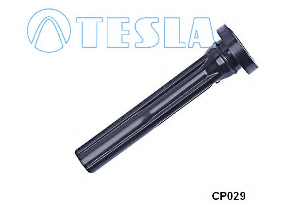 CP029 TESLA ,  