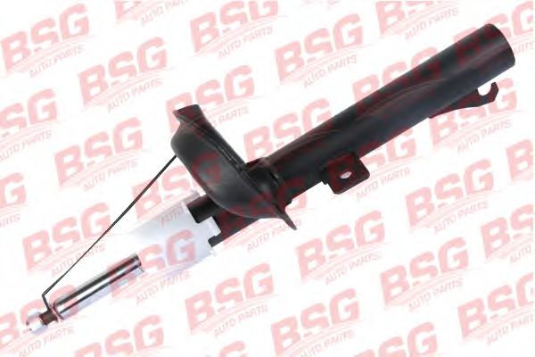 BSG 30-300-020 BSG 