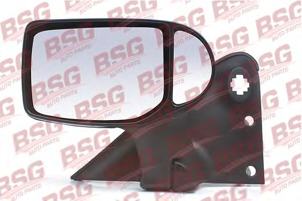 BSG 30-900-013 BSG  