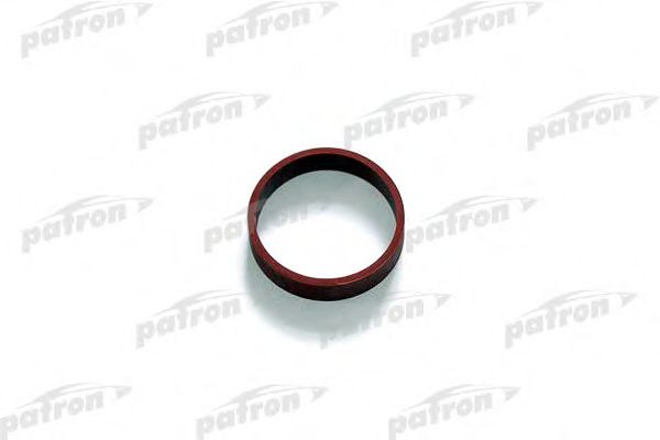 PG5-1031 PATRON ,   