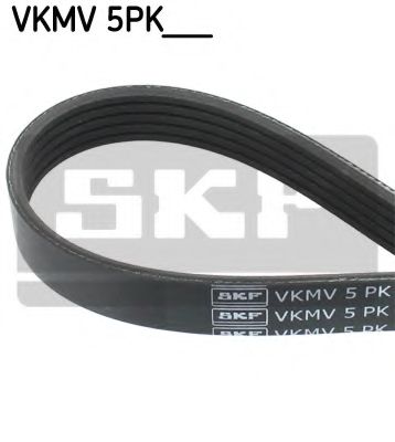 VKMV 5PK891 SKF  