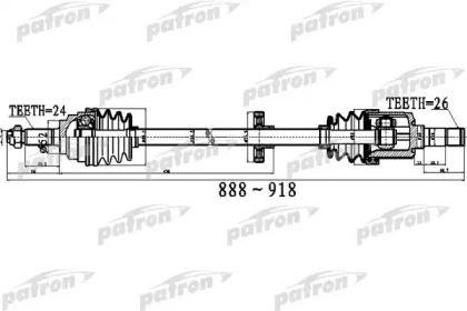 PDS0517 PATRON  