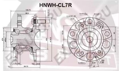 HNWH-CL7R ASVA  